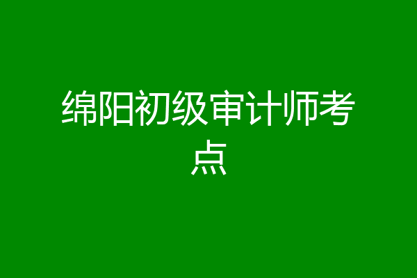绵阳初级审计师考点
