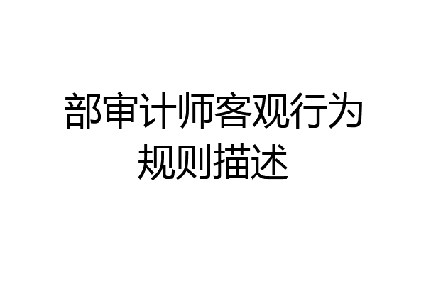 部审计师客观行为规则描述