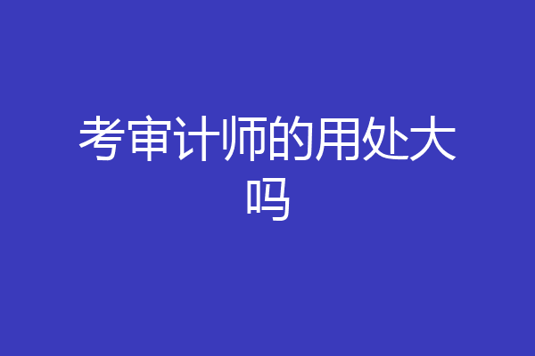 考审计师的用处大吗
