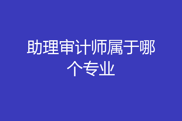 助理审计师属于哪个专业