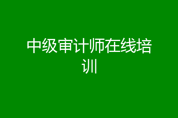 中级审计师在线培训