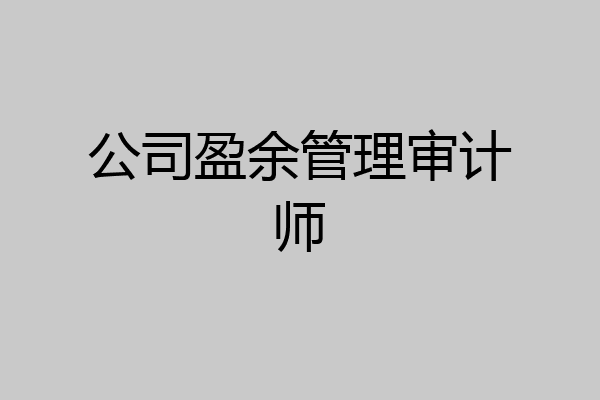 公司盈余管理审计师