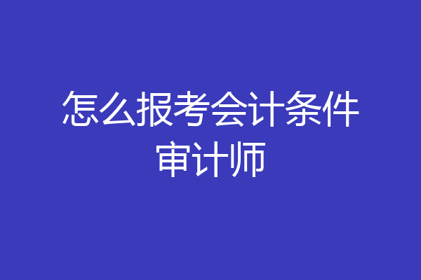 怎么报考会计条件审计师