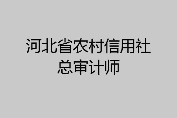 河北省农村信用社总审计师