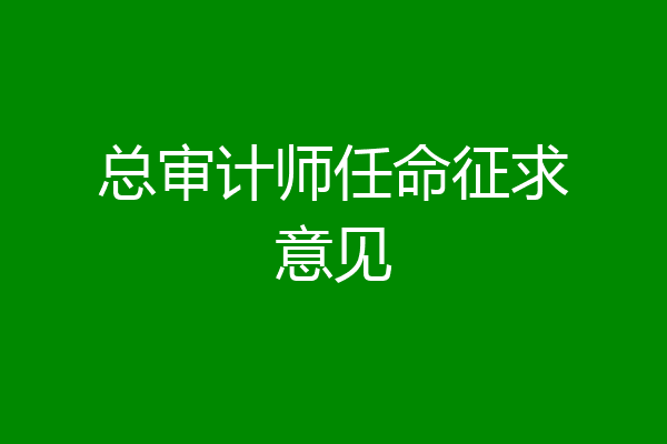 总审计师任命征求意见