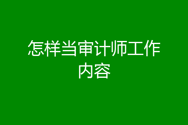 怎样当审计师工作内容