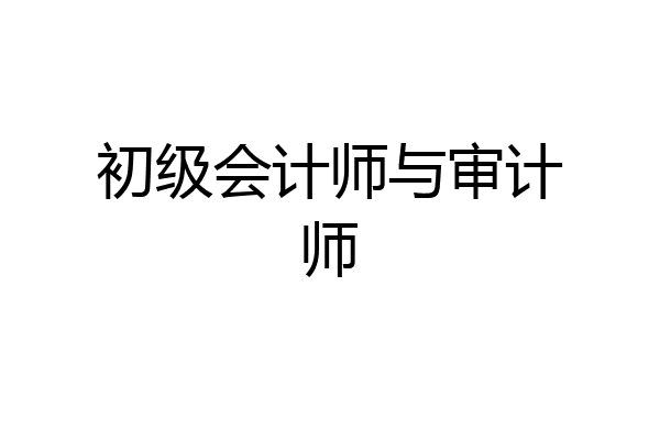 初级会计师与审计师