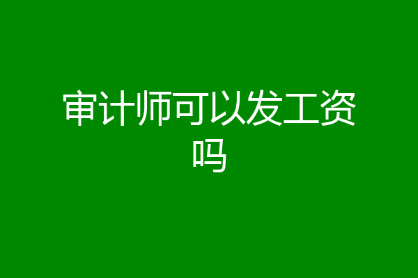 审计师可以发工资吗