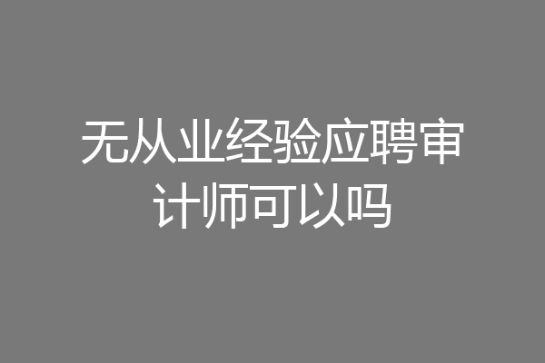 无从业经验应聘审计师可以吗
