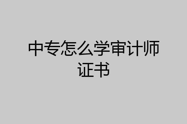 中专怎么学审计师证书