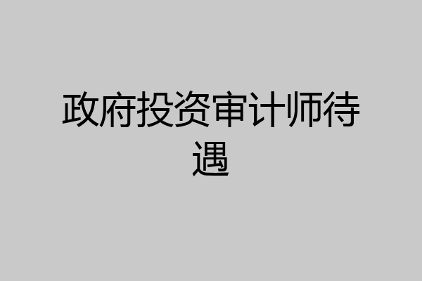 政府投资审计师待遇