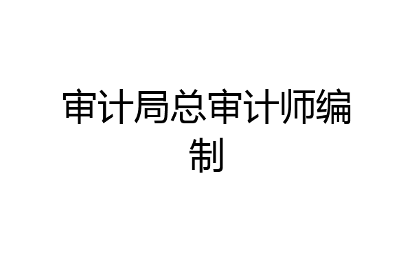 审计局总审计师编制