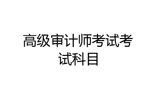 高级审计师考试考试科目