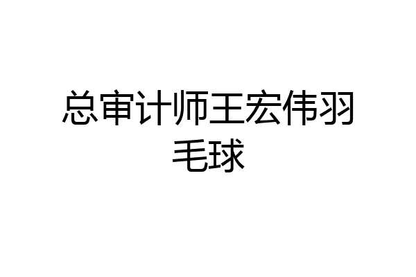 总审计师王宏伟羽毛球