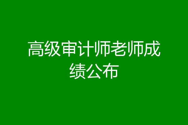 高级审计师老师成绩公布