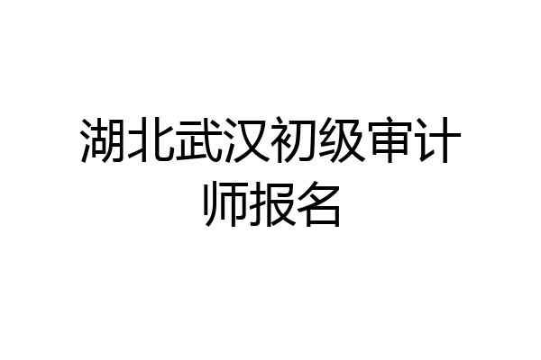 湖北武汉初级审计师报名