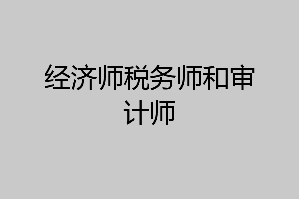 经济师税务师和审计师