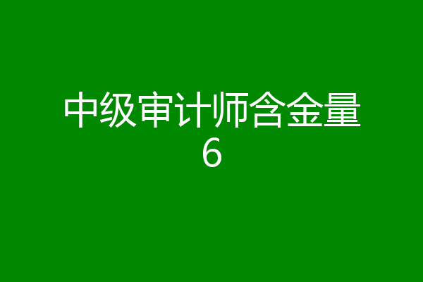中级审计师含金量6