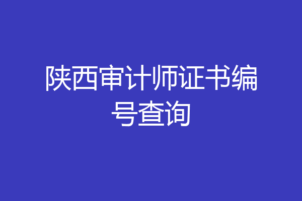 陕西审计师证书编号查询
