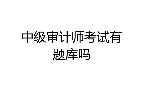 中级审计师考试有题库吗