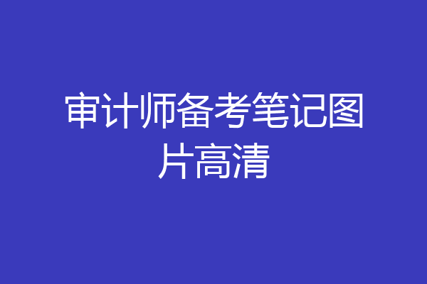 审计师备考笔记图片高清