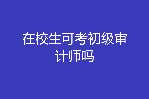 在校生可考初级审计师吗
