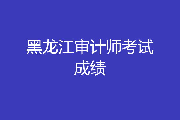 黑龙江审计师考试成绩