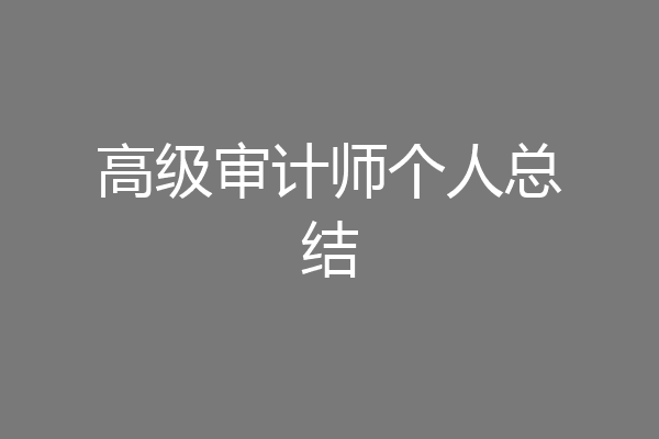 高级审计师个人总结