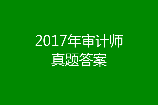 2017年审计师真题答案