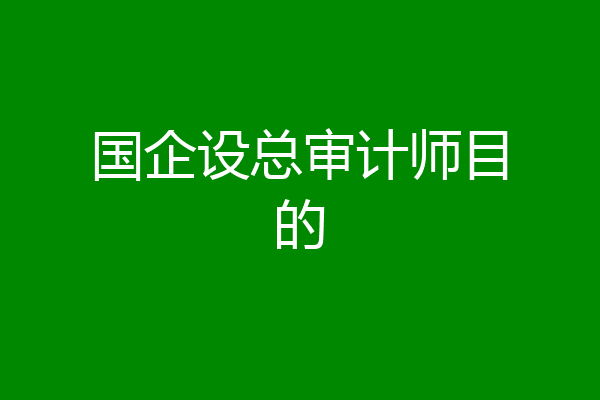 国企设总审计师目的