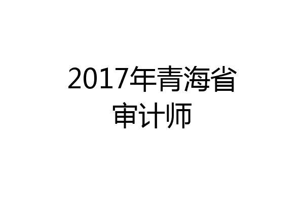 2017年青海省审计师