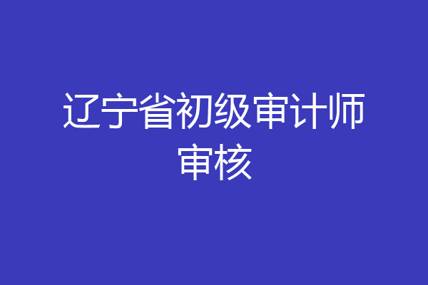 辽宁省初级审计师审核