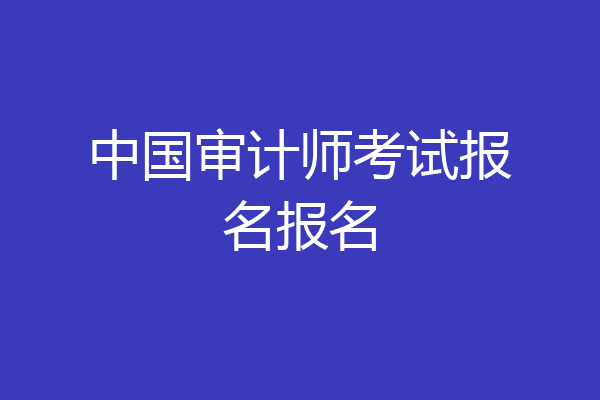 中国审计师考试报名报名