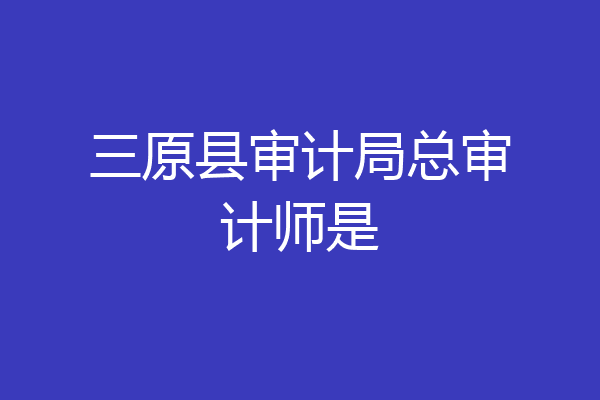 三原县审计局总审计师是