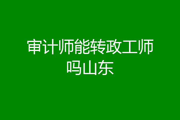 审计师能转政工师吗山东