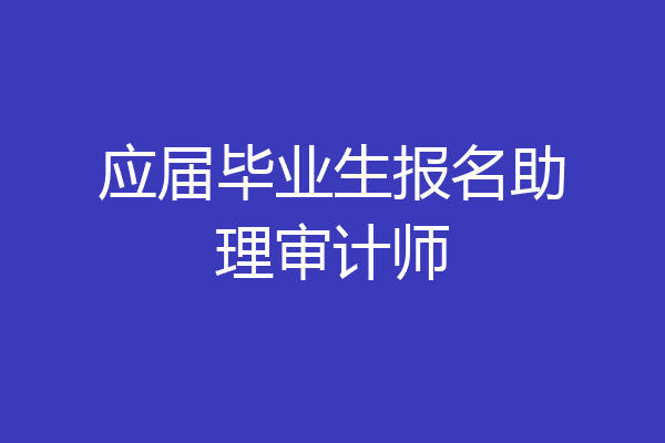 应届毕业生报名助理审计师