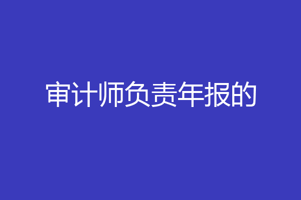 审计师负责年报的