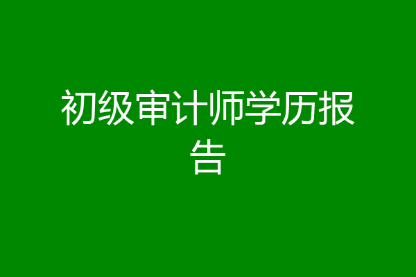 初级审计师学历报告
