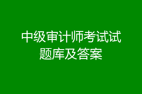 中级审计师考试试题库及答案
