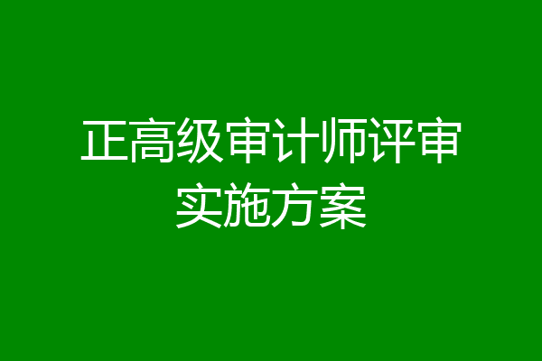 正高级审计师评审实施方案