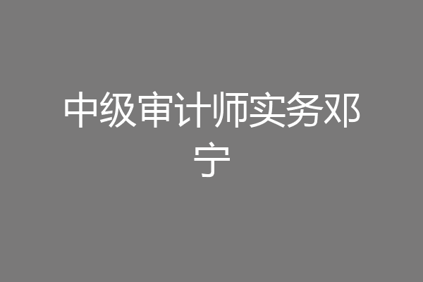 中级审计师实务邓宁