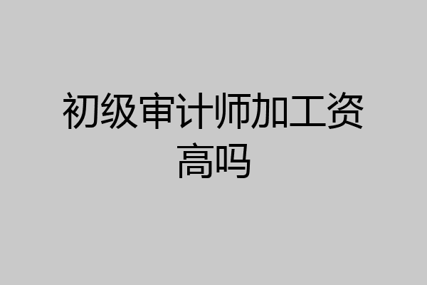 初级审计师加工资高吗