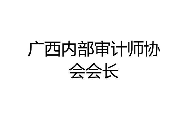 广西内部审计师协会会长
