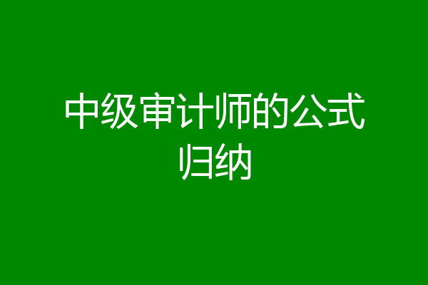 中级审计师的公式归纳
