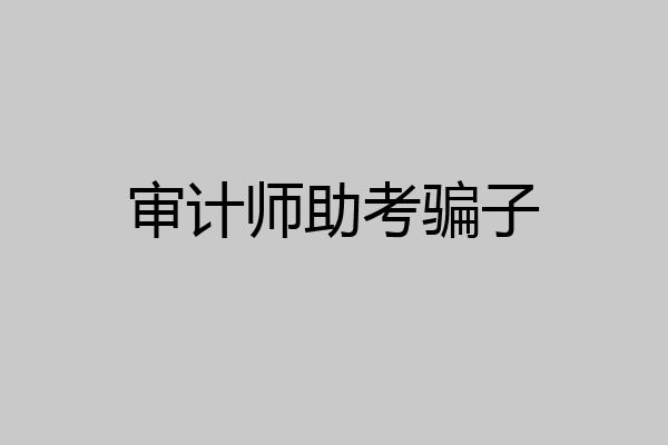 审计师助考骗子