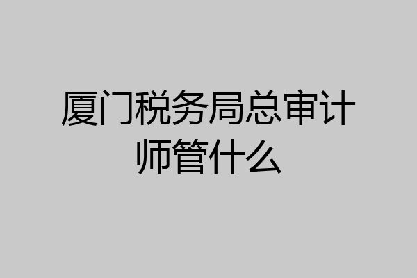 厦门税务局总审计师管什么
