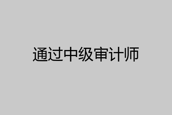 通过中级审计师