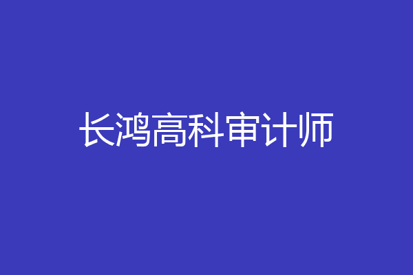 长鸿高科审计师