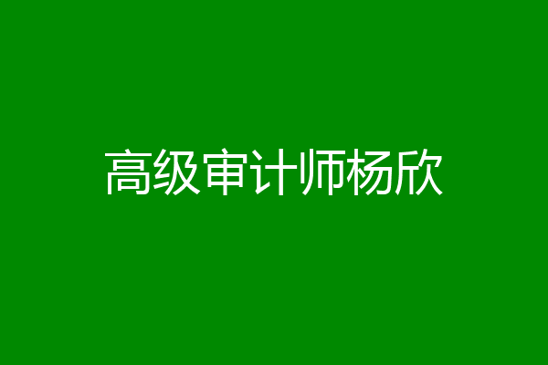 高级审计师杨欣