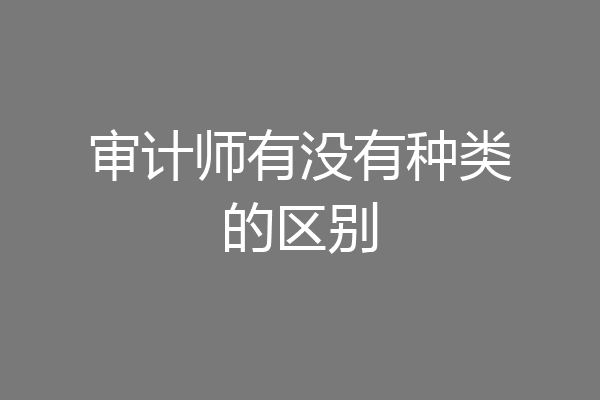 审计师有没有种类的区别